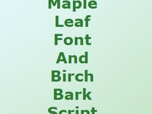 Nature-Inspired Font Pairings for Elementary Classroom Signs