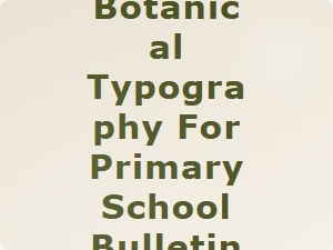 Soft Botanical Typography for Primary School Bulletin Boards